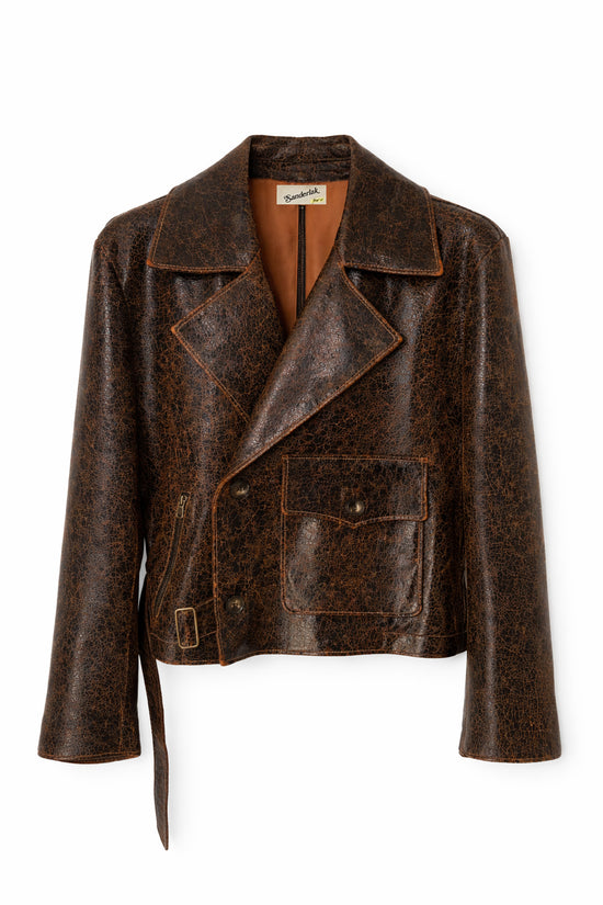 Leather Moto Jacket in Dark Chocolate
