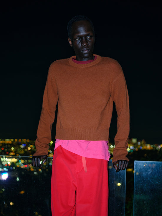 Cropped Crewneck Sweater in Rust
