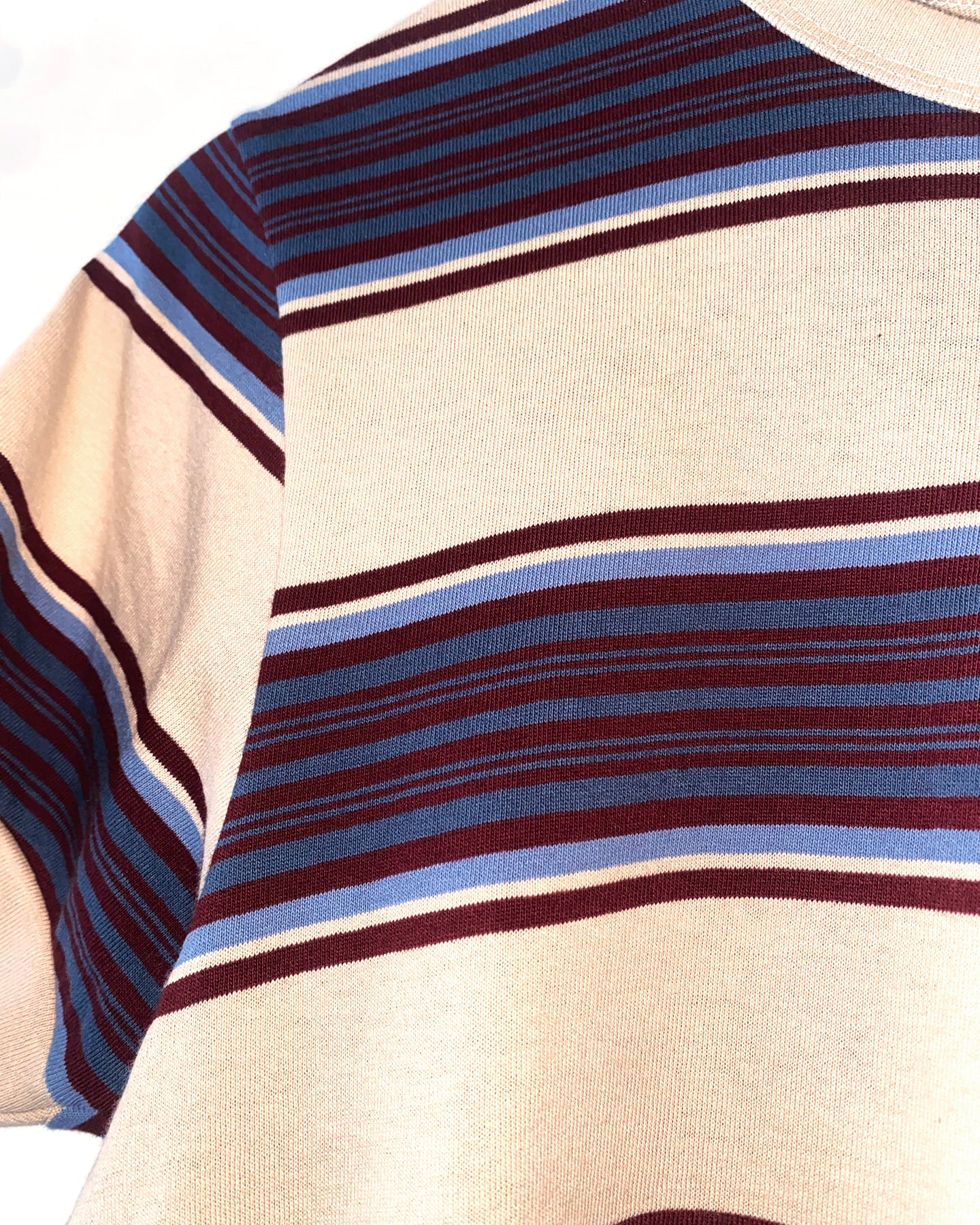 Striped Contrast Rib Tee in Aubergine Stripe